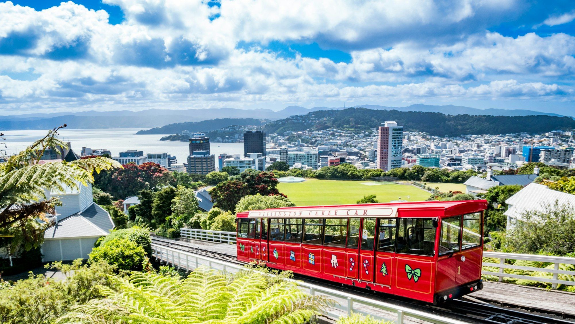 The red Wellington Cable Car climbing its track with the city behind