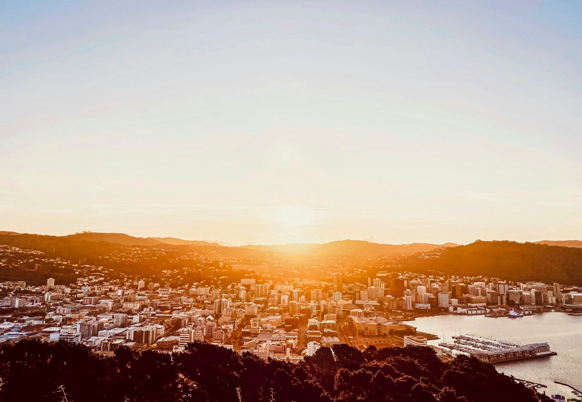 Wellington city, hills and harbour at golden hour, seen from Mt Victoria